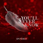 You’ll Never Know