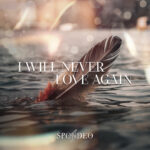 I’ll Never Love Again